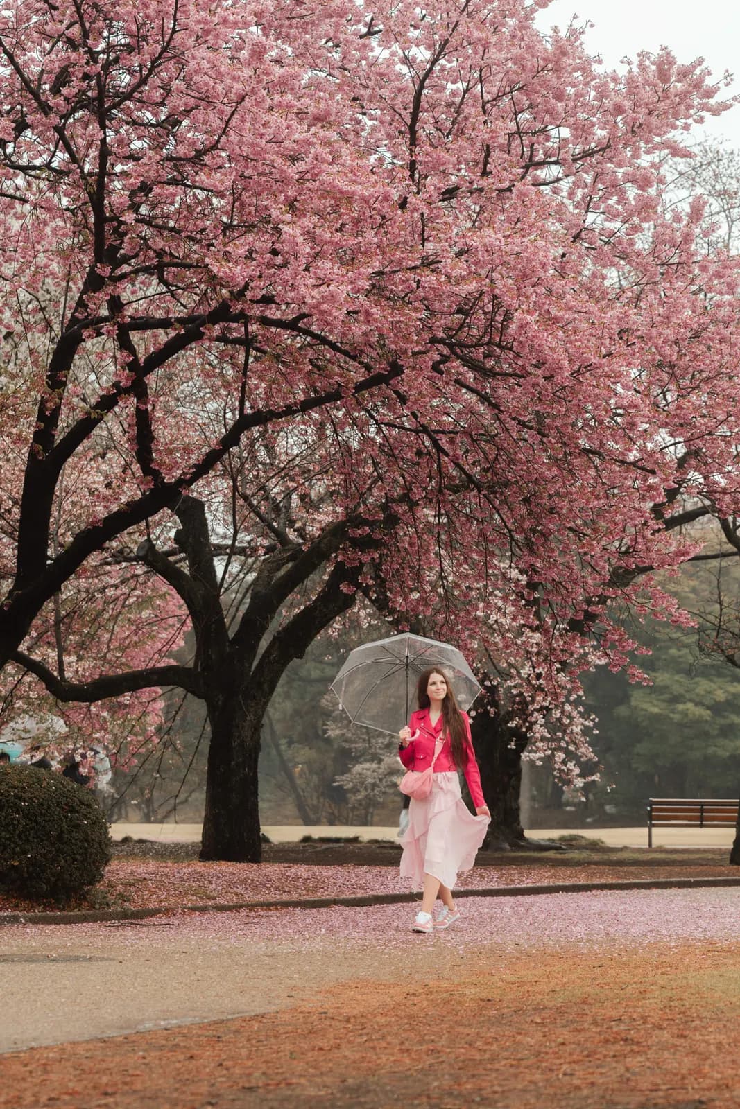 A Tokyo Moments photoshoot in Tokyo